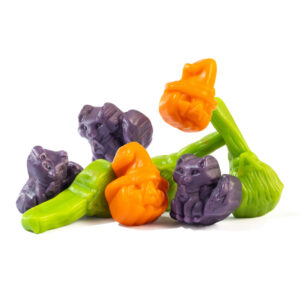 Albanese Halloween Spooktacular Gummies Mix 5lb Bulk